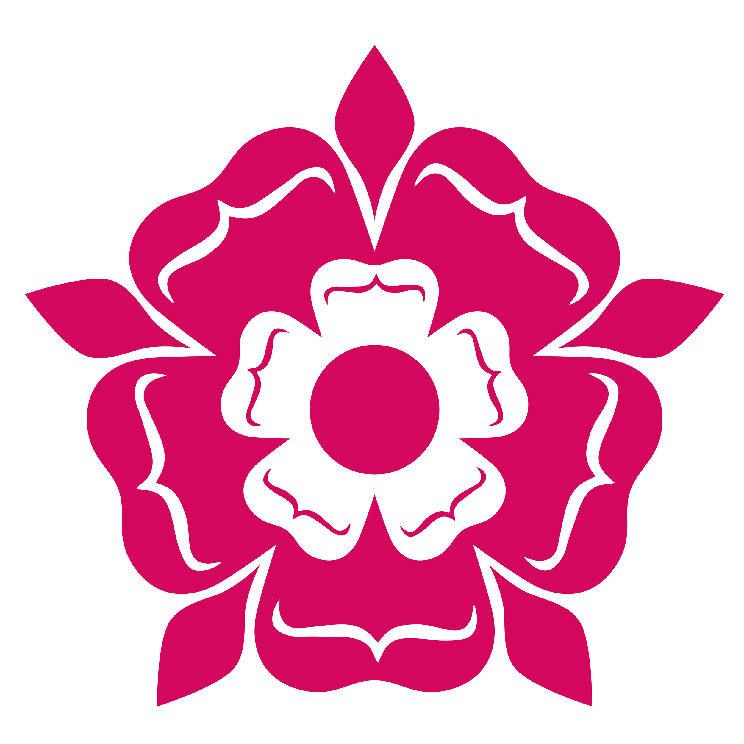 Sutton Coldfield Hockey Club Logo